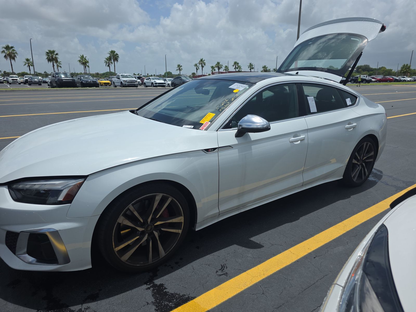 2023 Audi S5 Premium Plus AWD