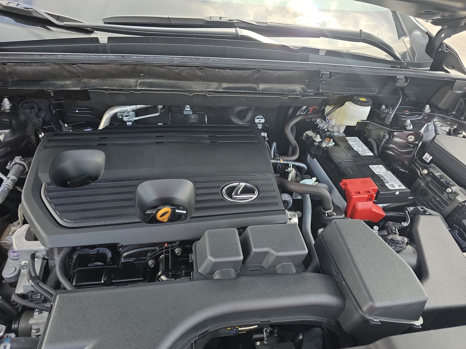 2024 Lexus NX NX 250 FWD