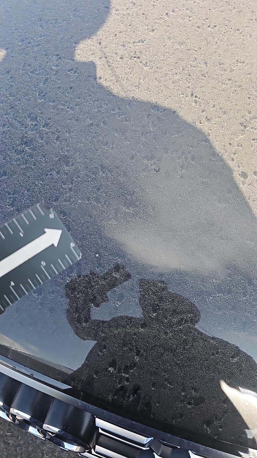 2022 Audi SQ5 Premium Plus AWD