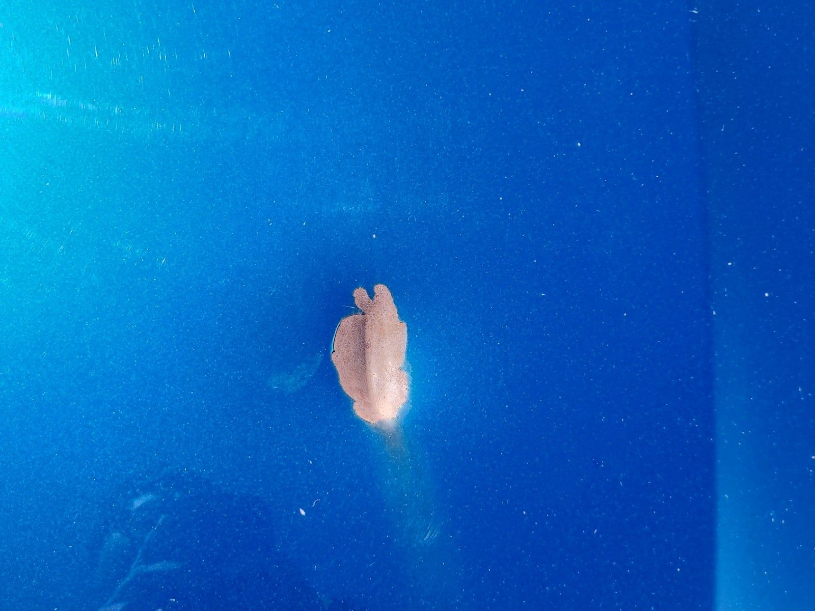 2012 Honda Civic EX FWD