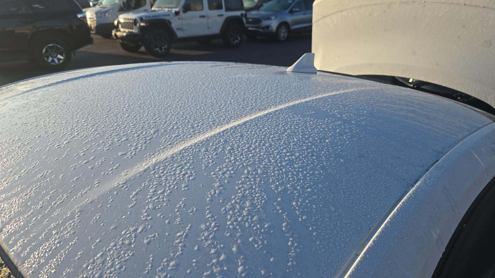 2025 Ford Mustang EcoBoost Premium RWD