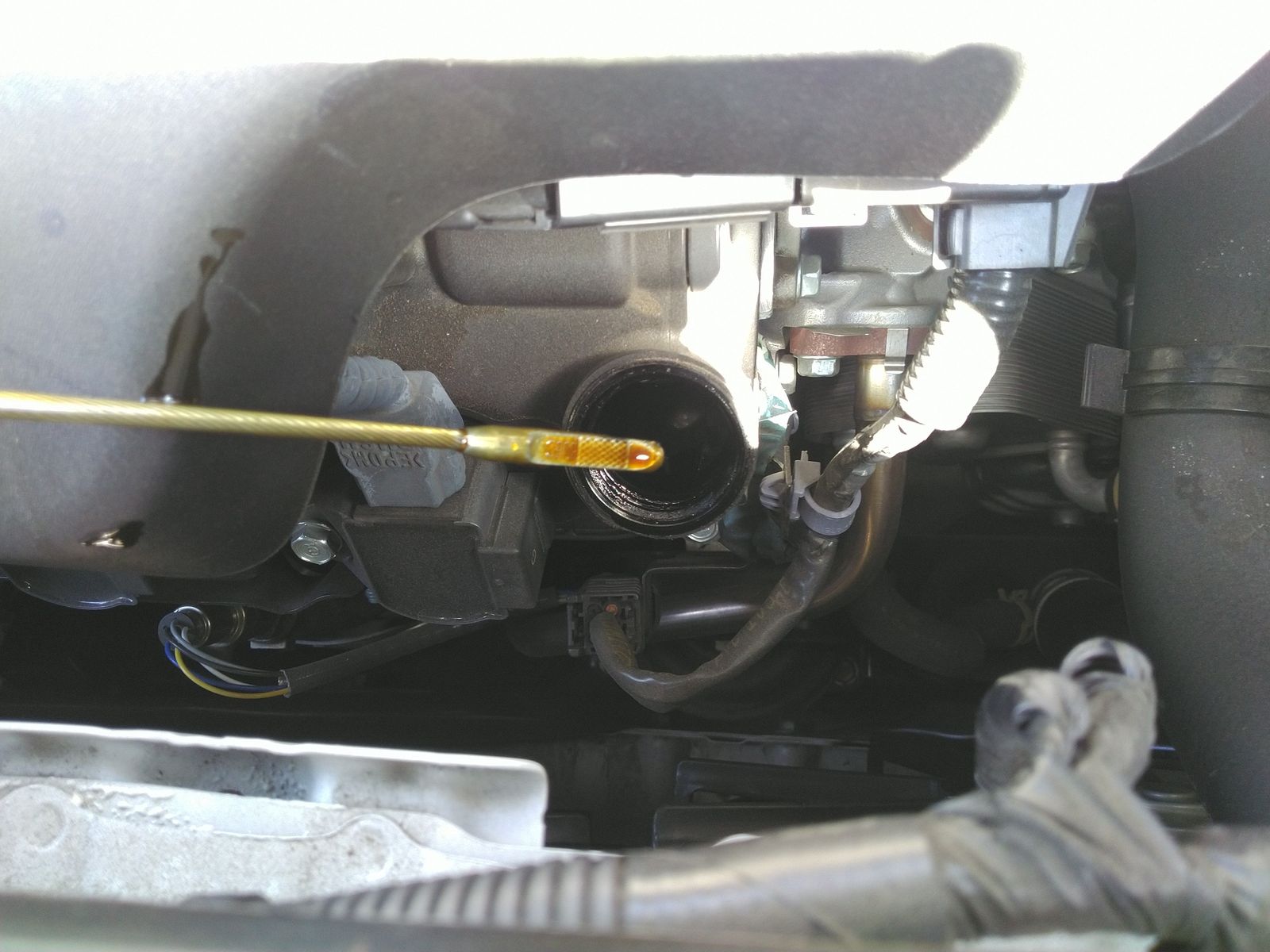 2024 Honda Odyssey Elite FWD