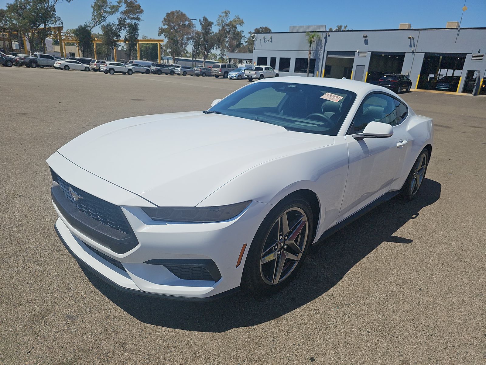 2025 Ford Mustang EcoBoost Premium RWD