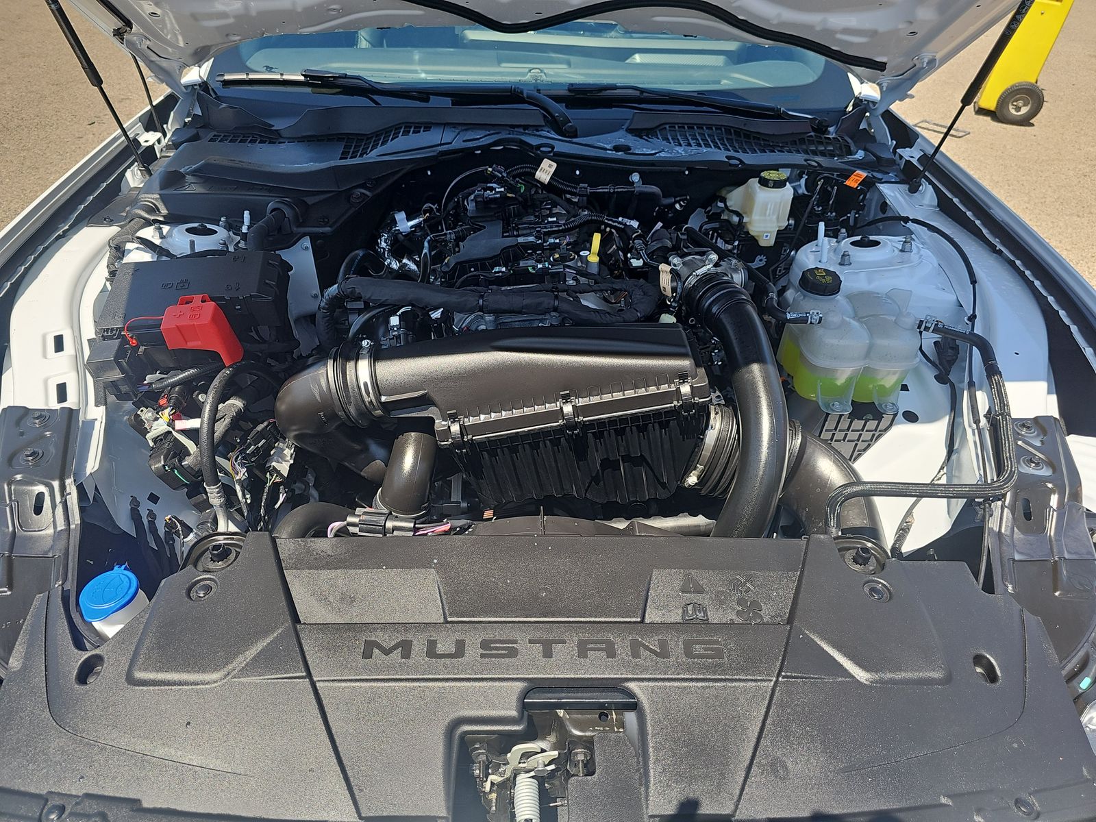 2025 Ford Mustang EcoBoost Premium RWD