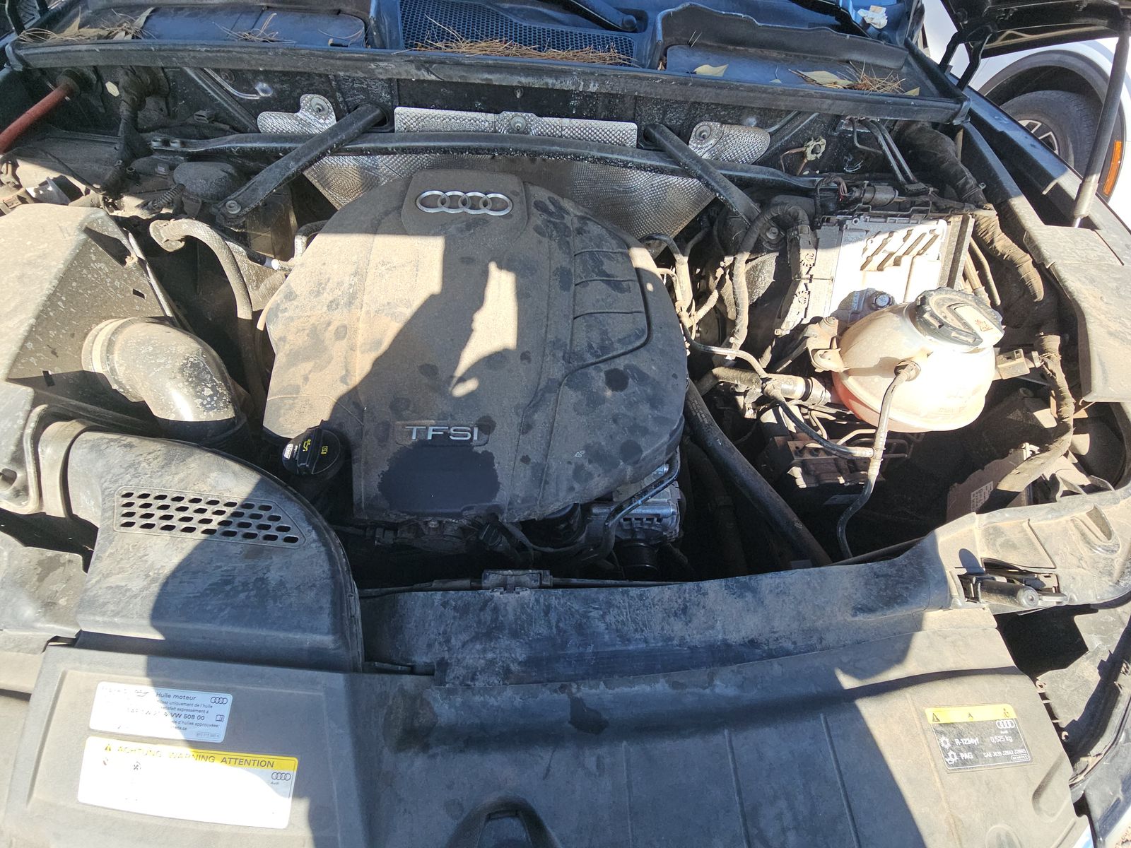 2019 Audi Q5 Prestige AWD