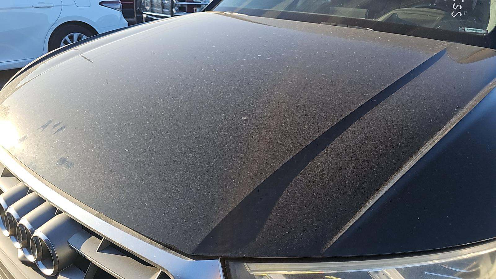 2019 Audi Q5 Prestige AWD