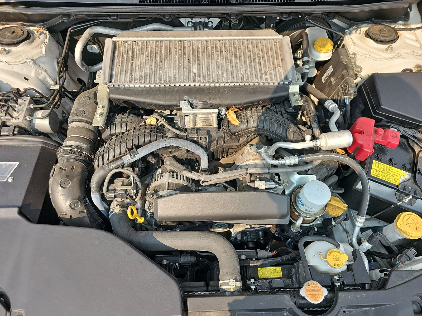2023 Subaru WRX Base AWD