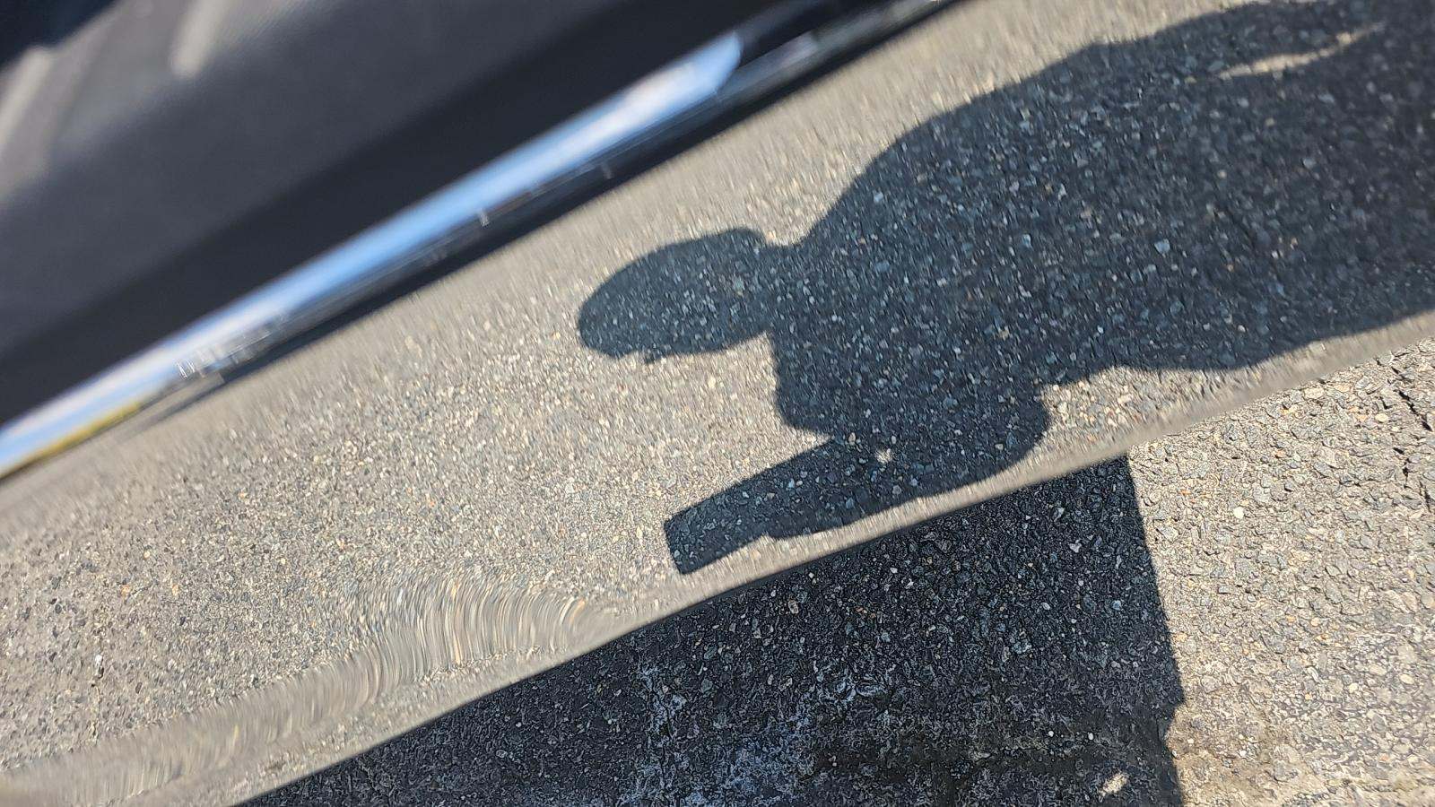 2018 Ford F-150 XLT AWD