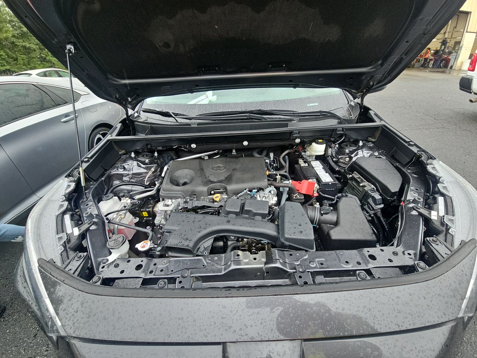 2023 Toyota RAV4 LE FWD