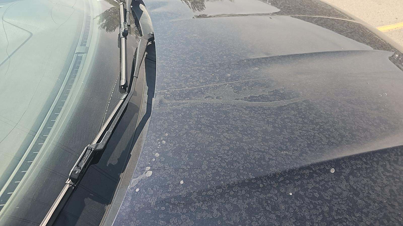 2022 Volkswagen Jetta 1.5T S FWD