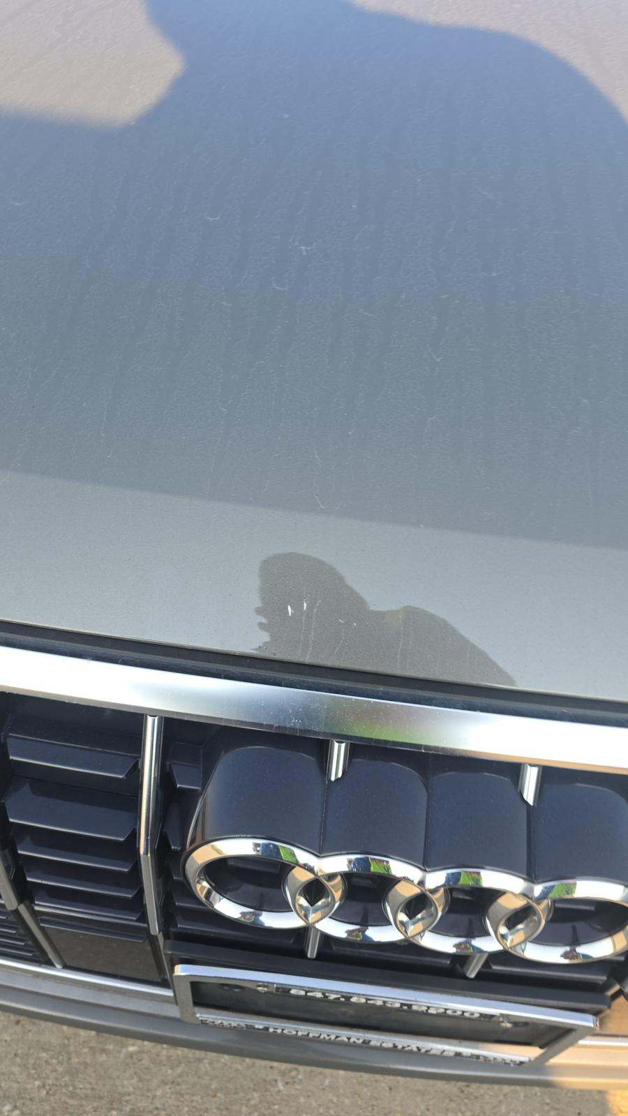 2023 Audi Q3 S line Premium Plus AWD