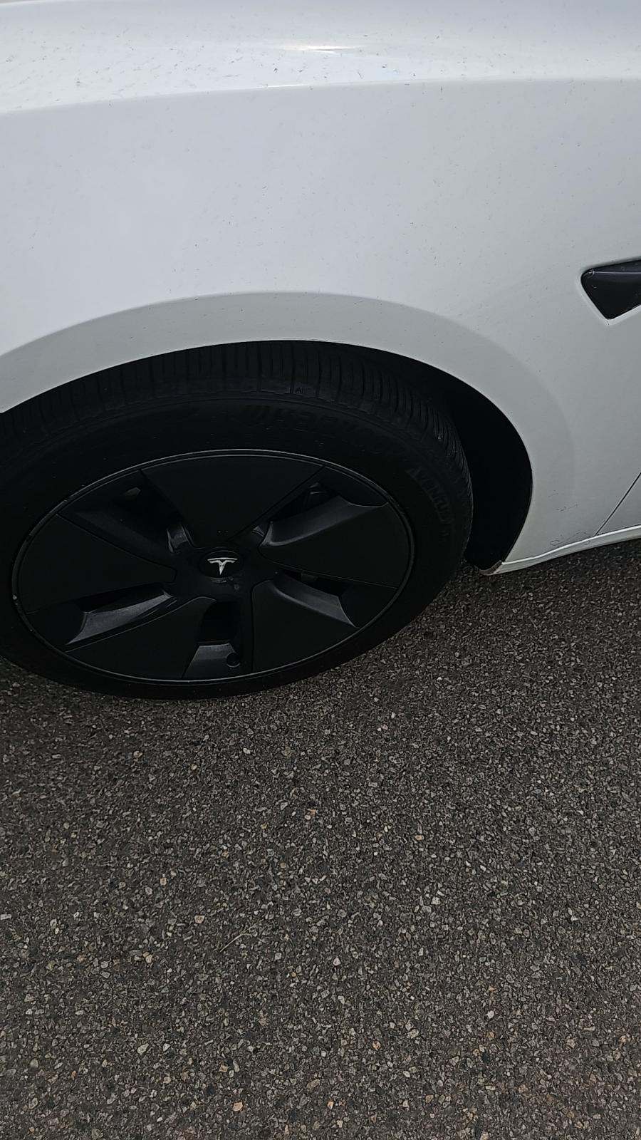 2023 Tesla Model 3 Standard Range RWD