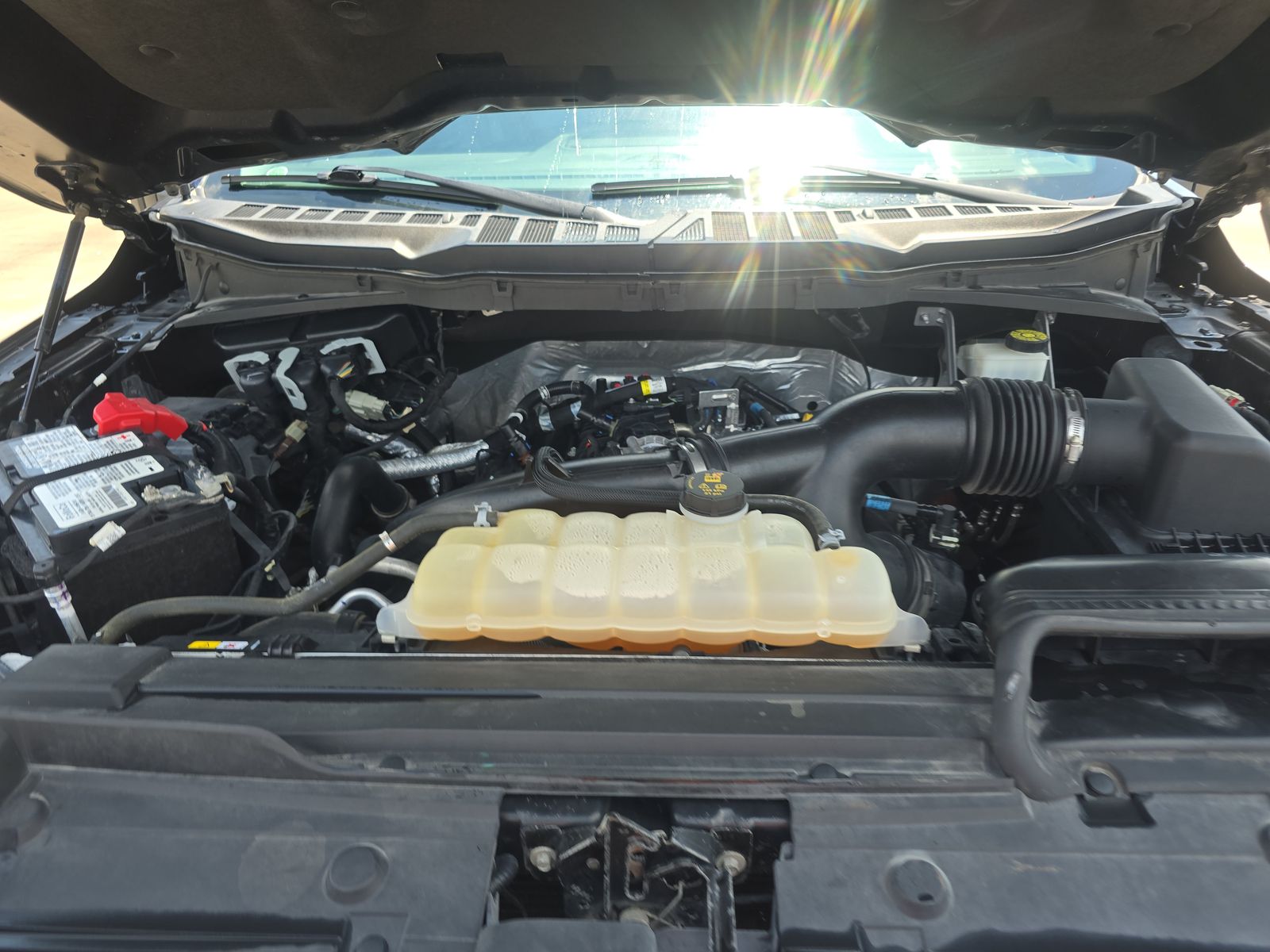 2021 Ford F-150 XLT RWD