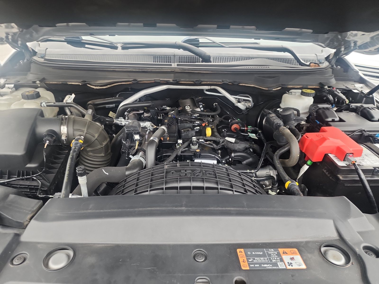 2020 Ford Ranger XLT RWD