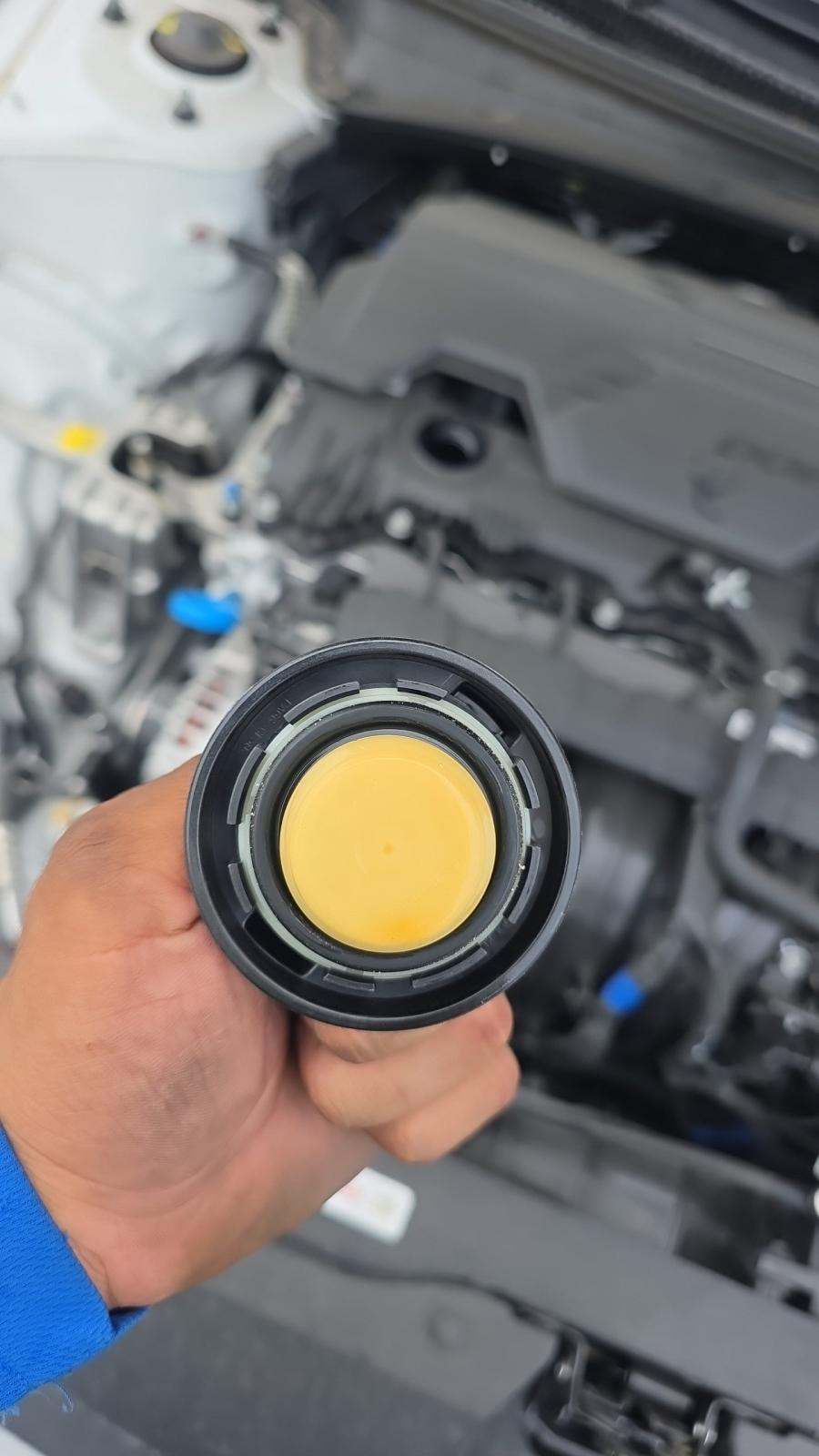 2025 Hyundai Elantra SE FWD