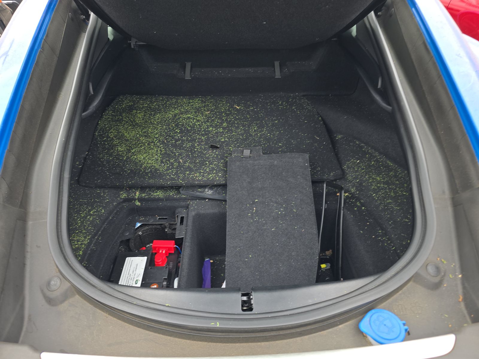 2019 Jaguar F-TYPE P300 RWD