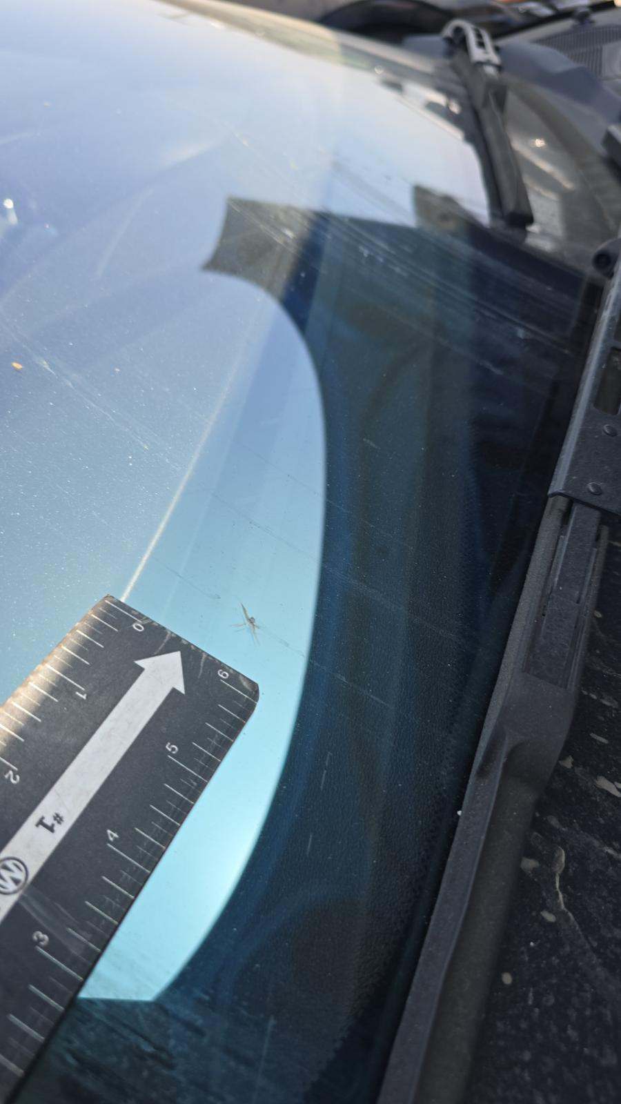 2019 Jaguar F-TYPE P300 RWD