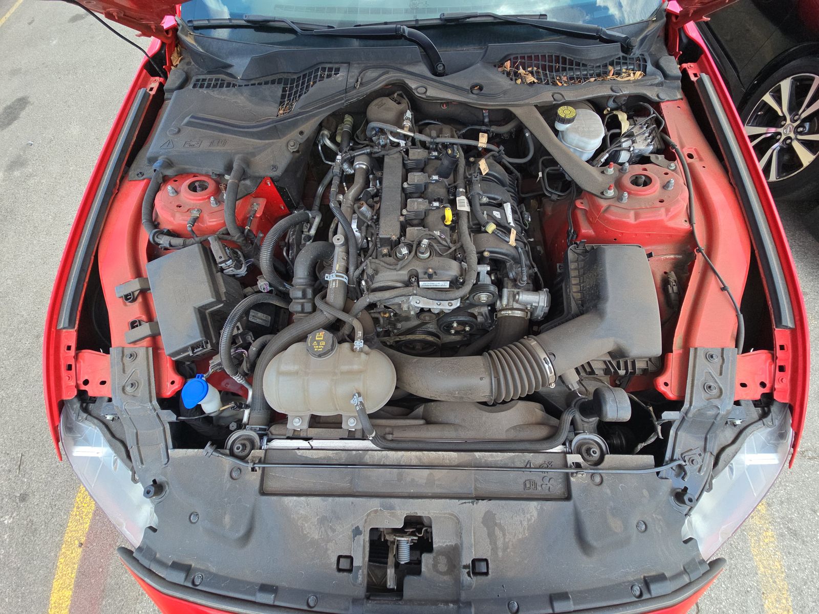 2022 Ford Mustang EcoBoost Premium RWD