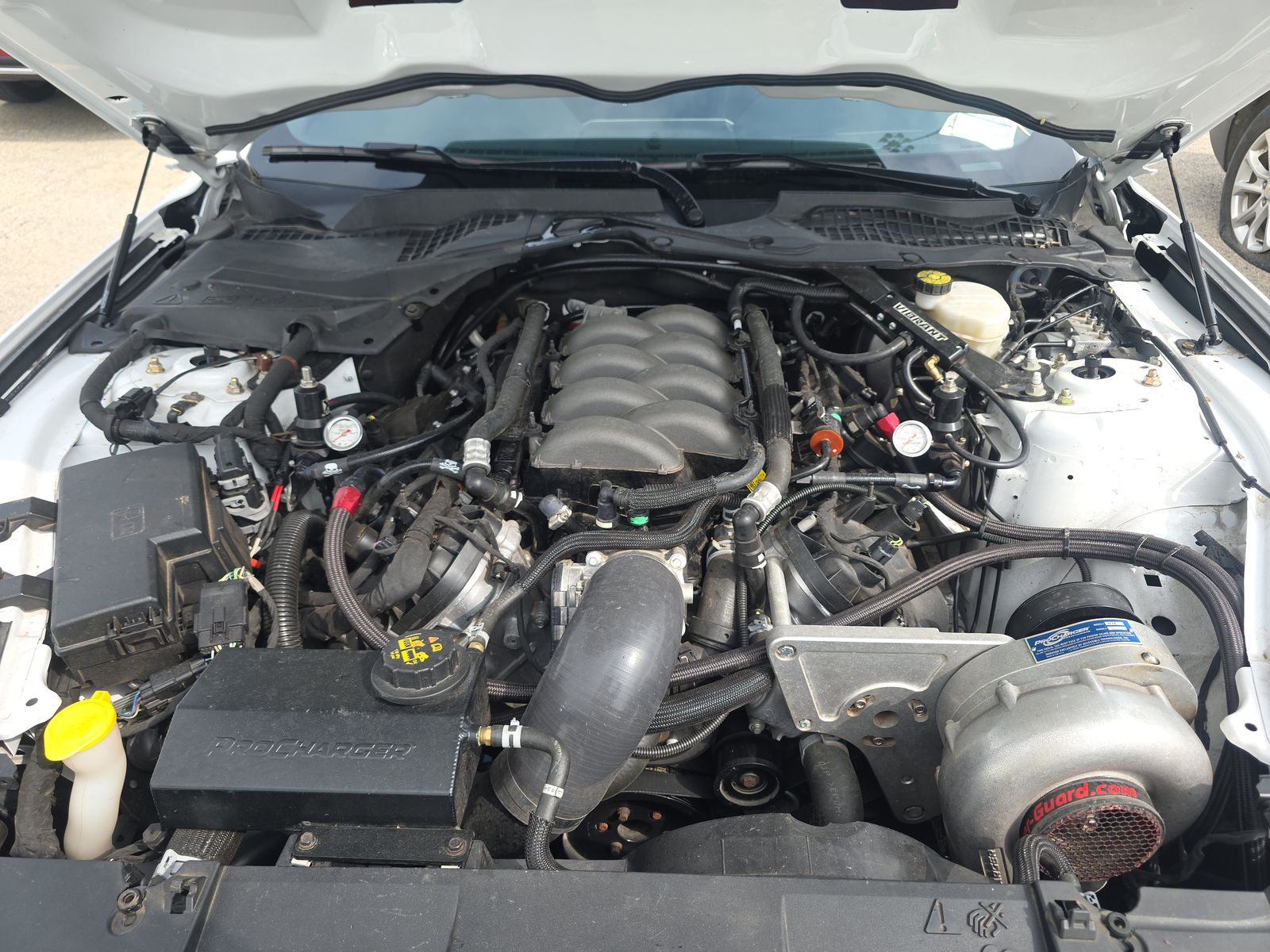 2019 Ford Mustang GT Premium RWD