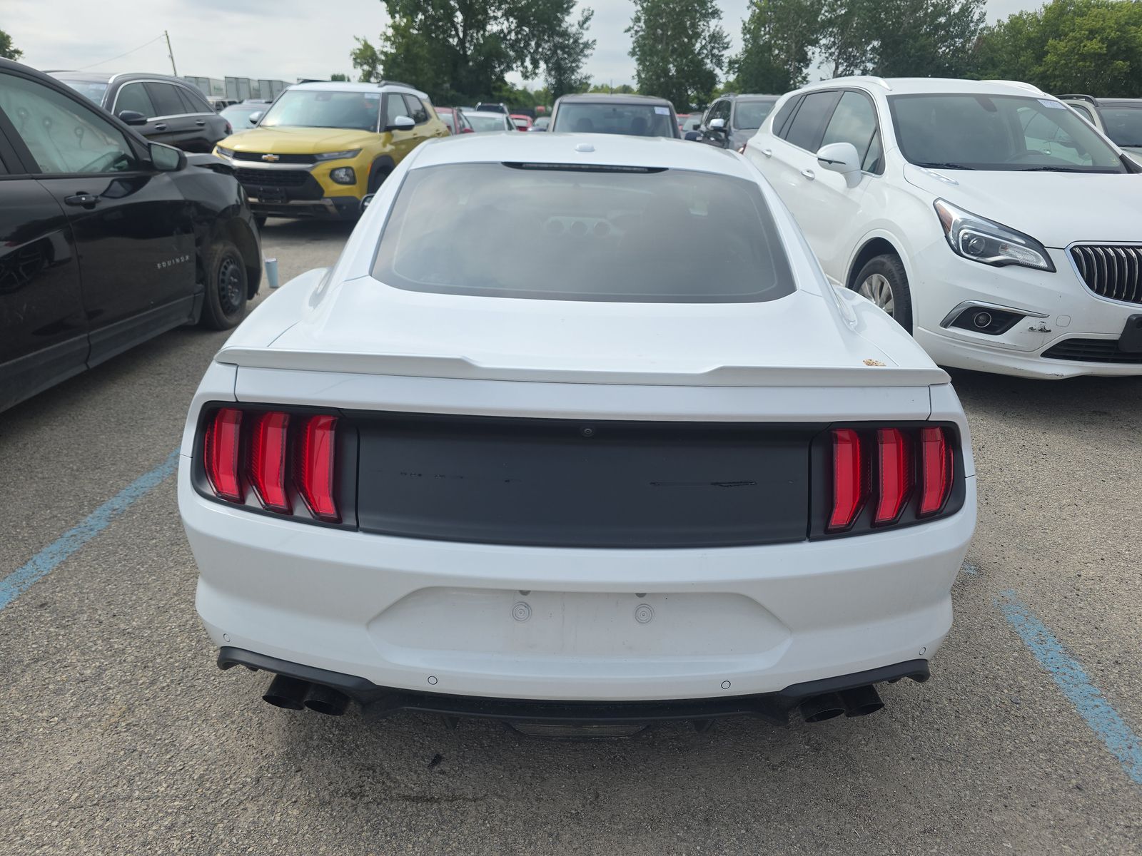 2019 Ford Mustang GT Premium RWD