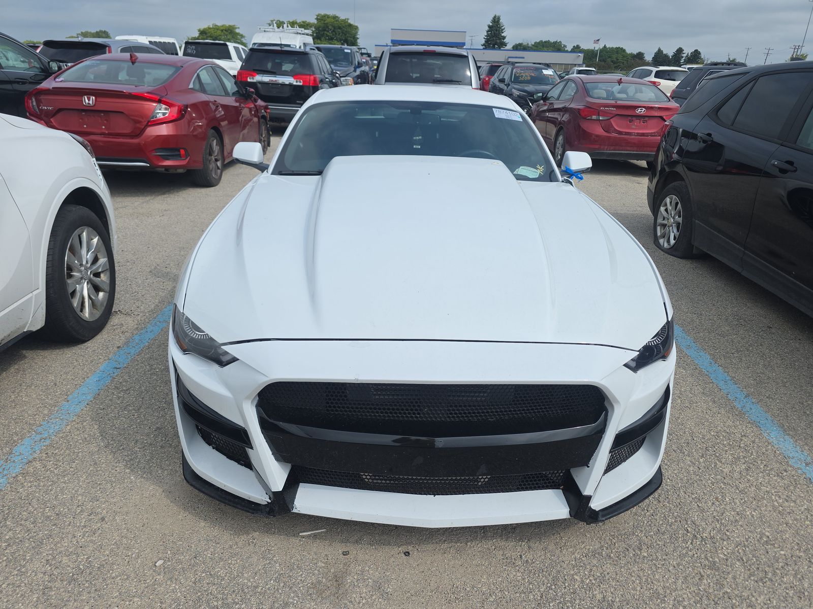 2019 Ford Mustang GT Premium RWD