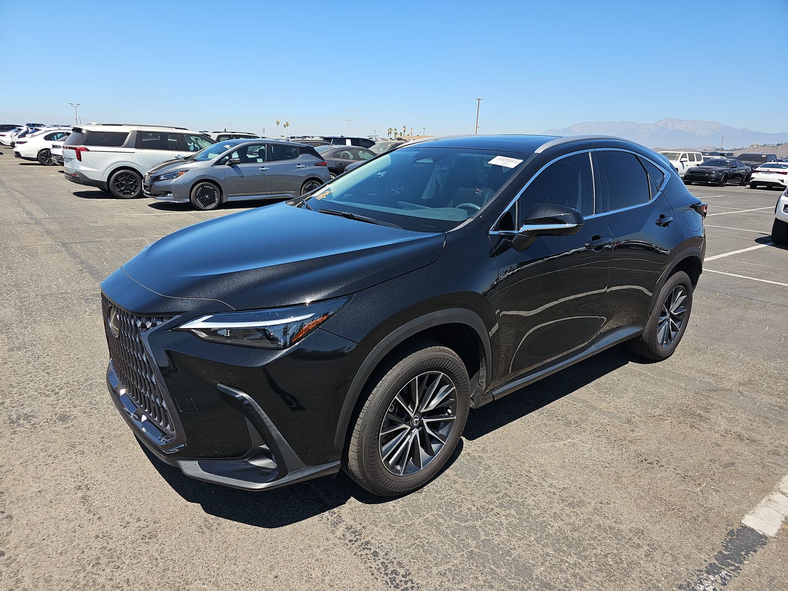 2024 Lexus NX NX 350 Premium AWD