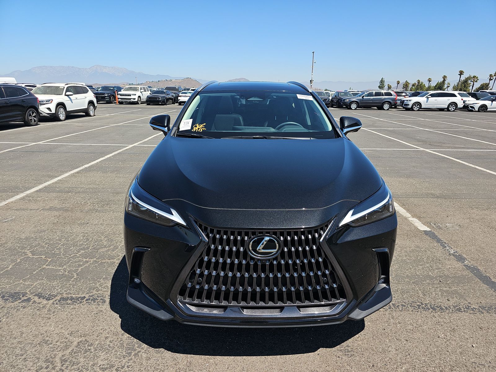 2024 Lexus NX NX 350 Premium AWD