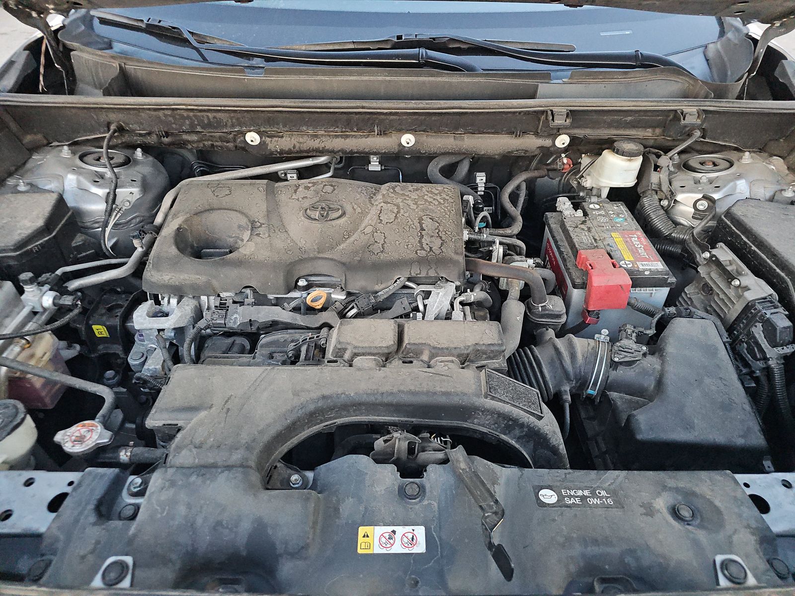 2019 Toyota RAV4 XLE AWD