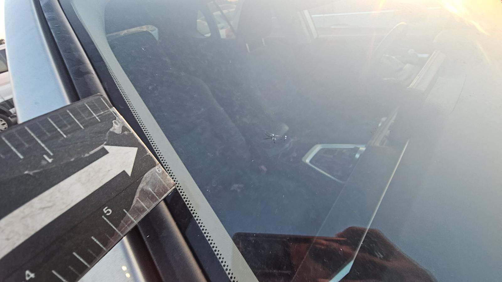 2019 Toyota RAV4 XLE AWD