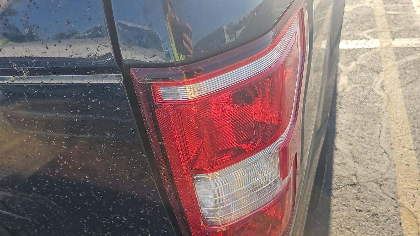 2020 Ford F-150 XLT AWD