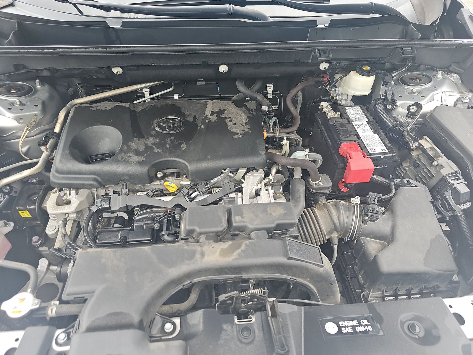 2021 Toyota RAV4 LE FWD