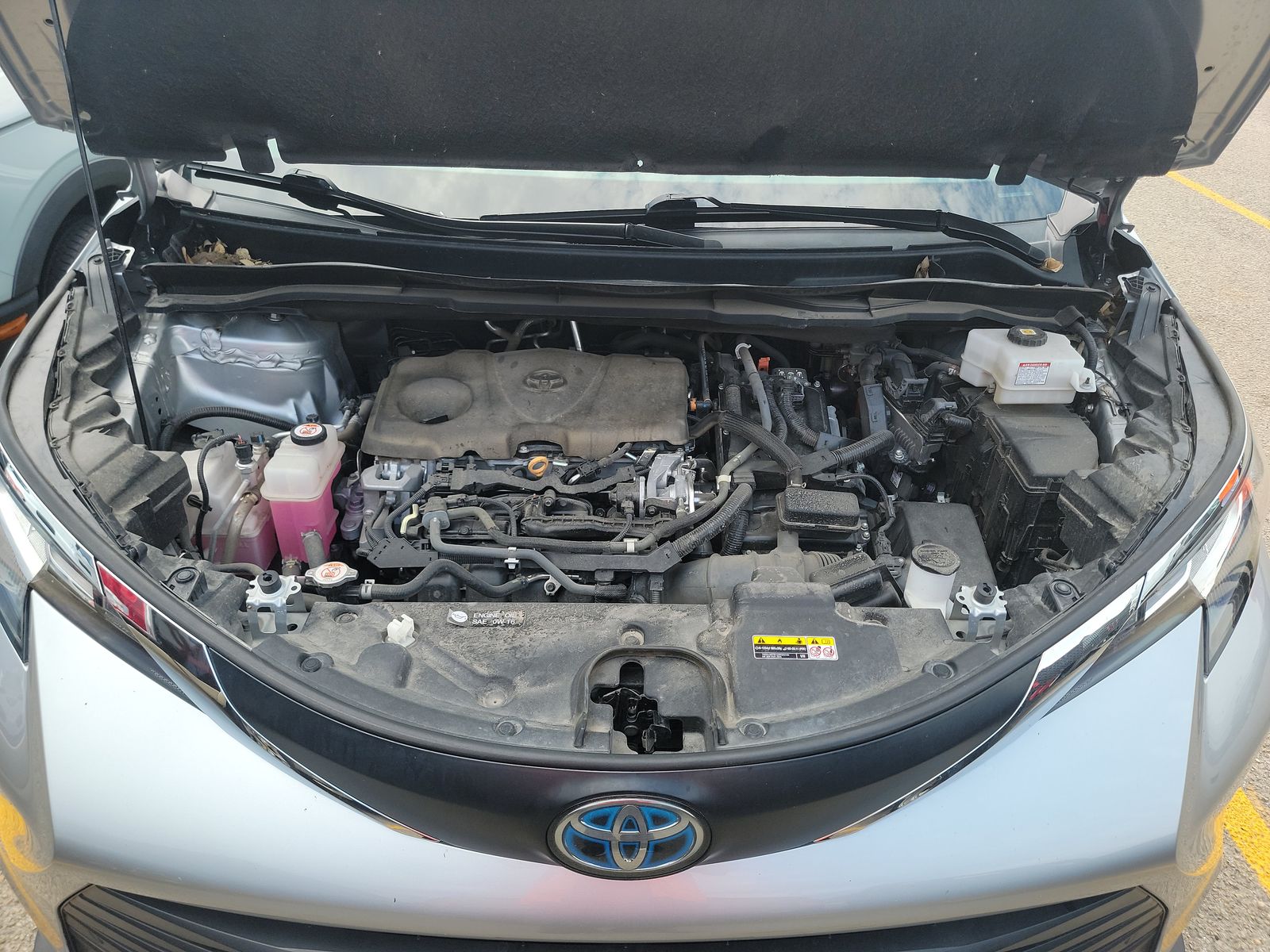 2021 Toyota Sienna XLE FWD