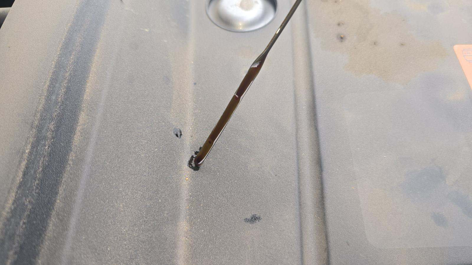 2022 Ford Ranger XLT FWD