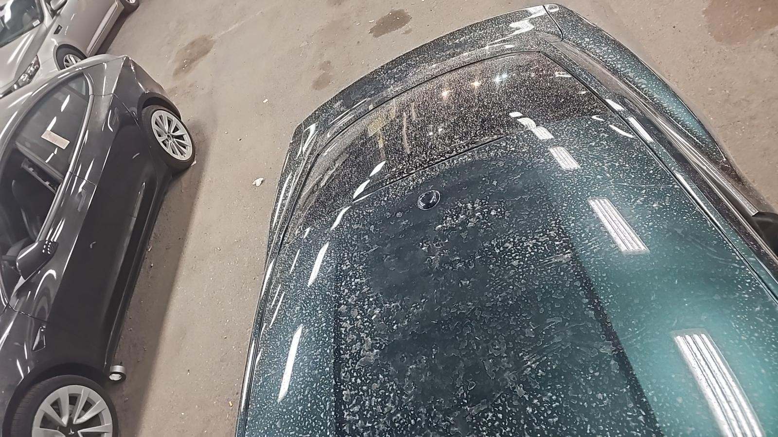 2019 Ford Mustang BULLITT RWD