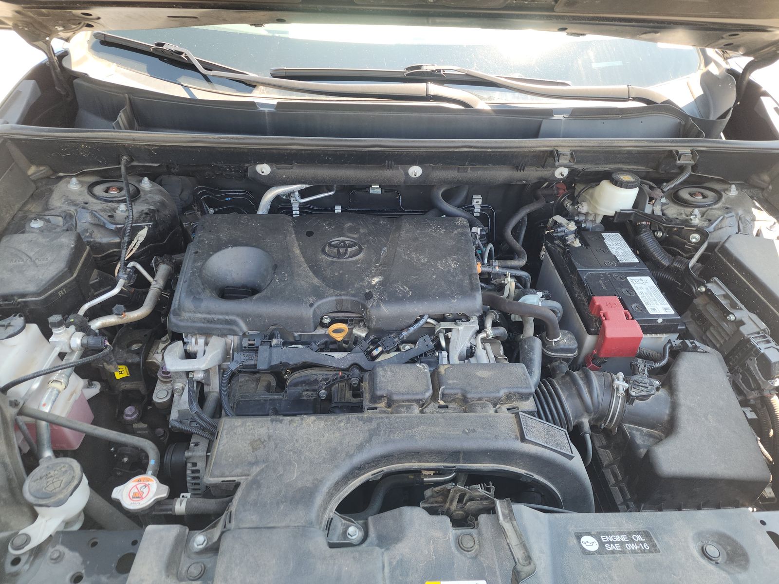 2020 Toyota RAV4 XLE Premium FWD