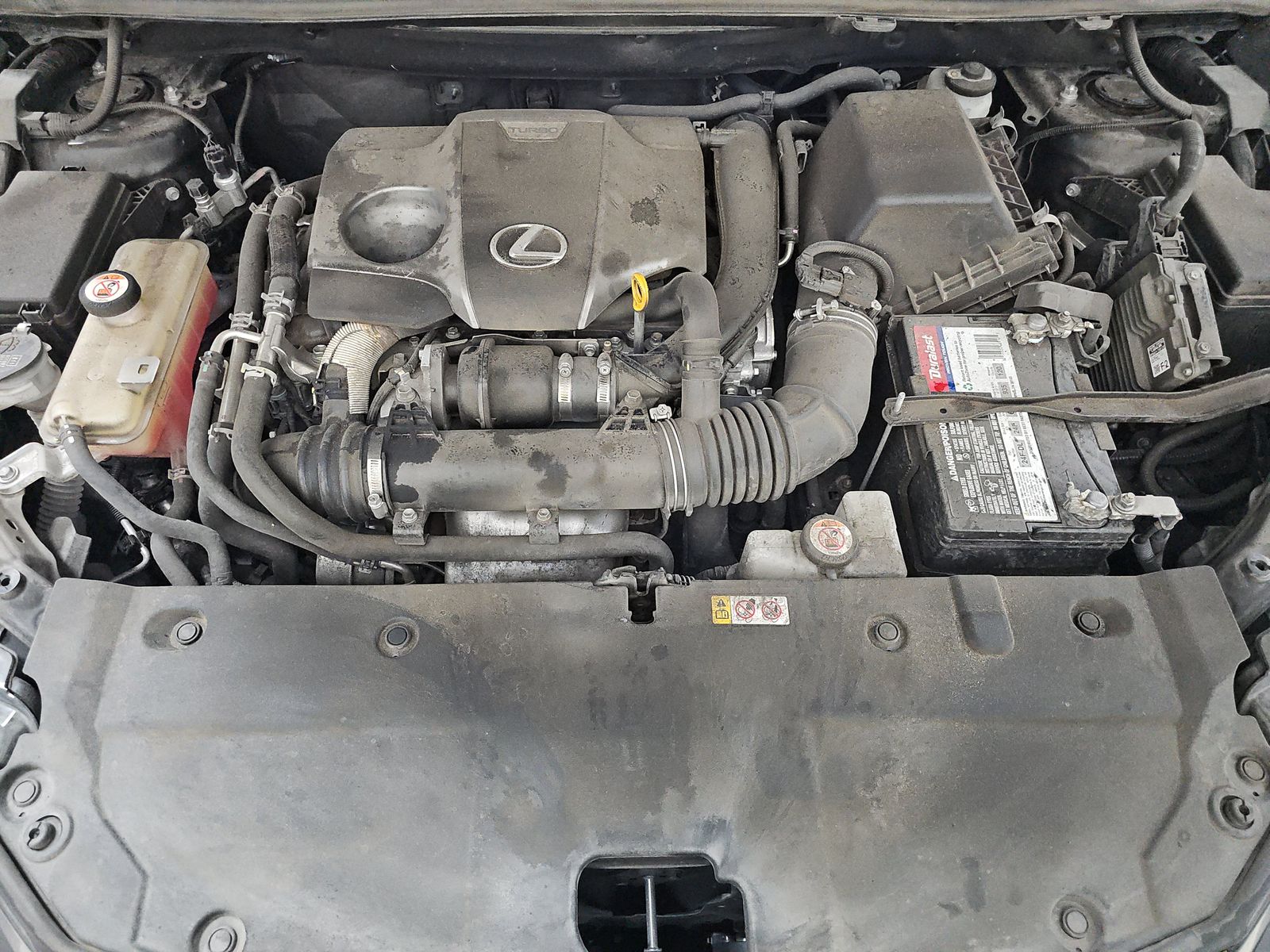 2021 Lexus NX NX 300 F SPORT FWD