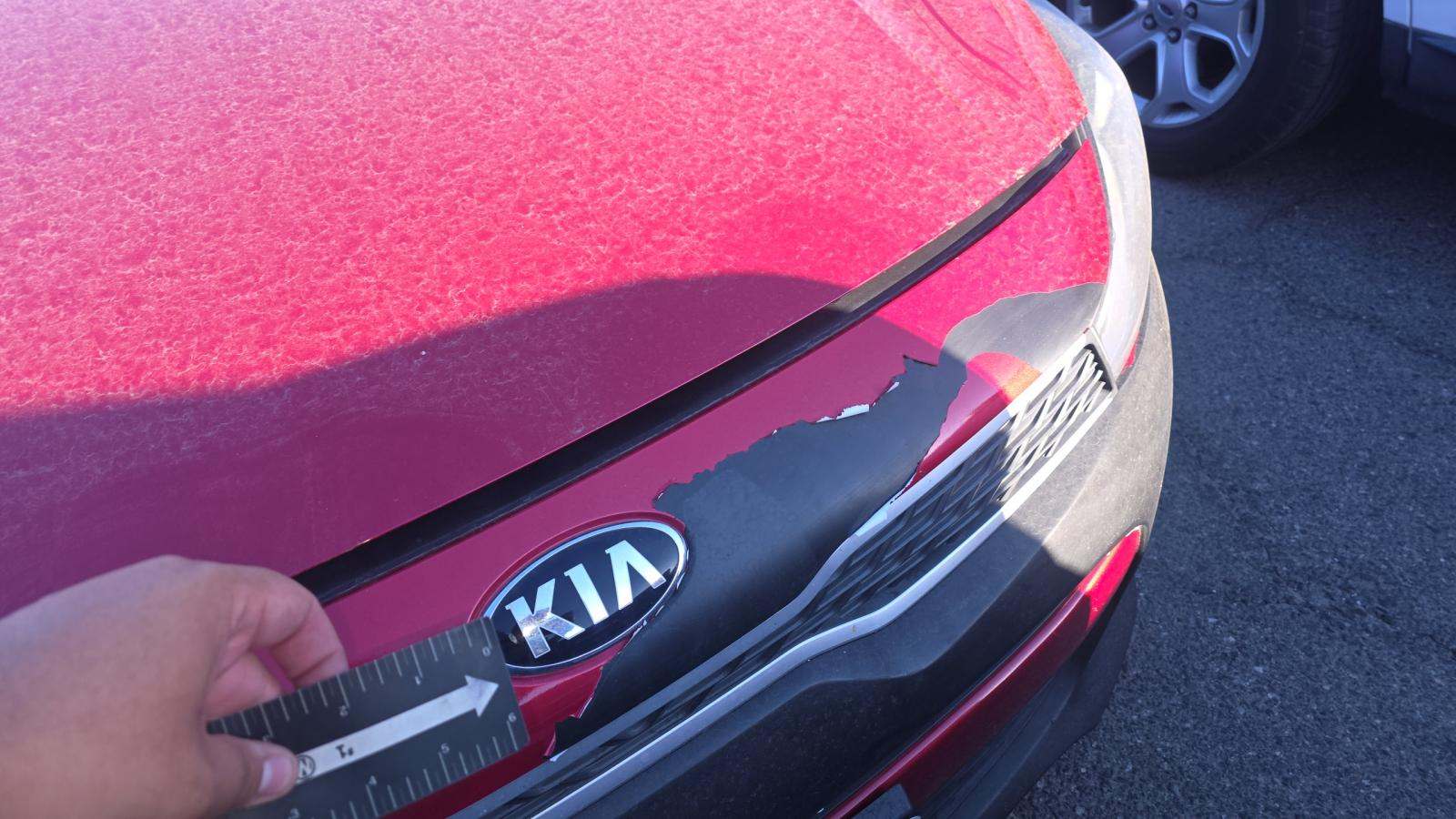 2019 Kia Rio S FWD