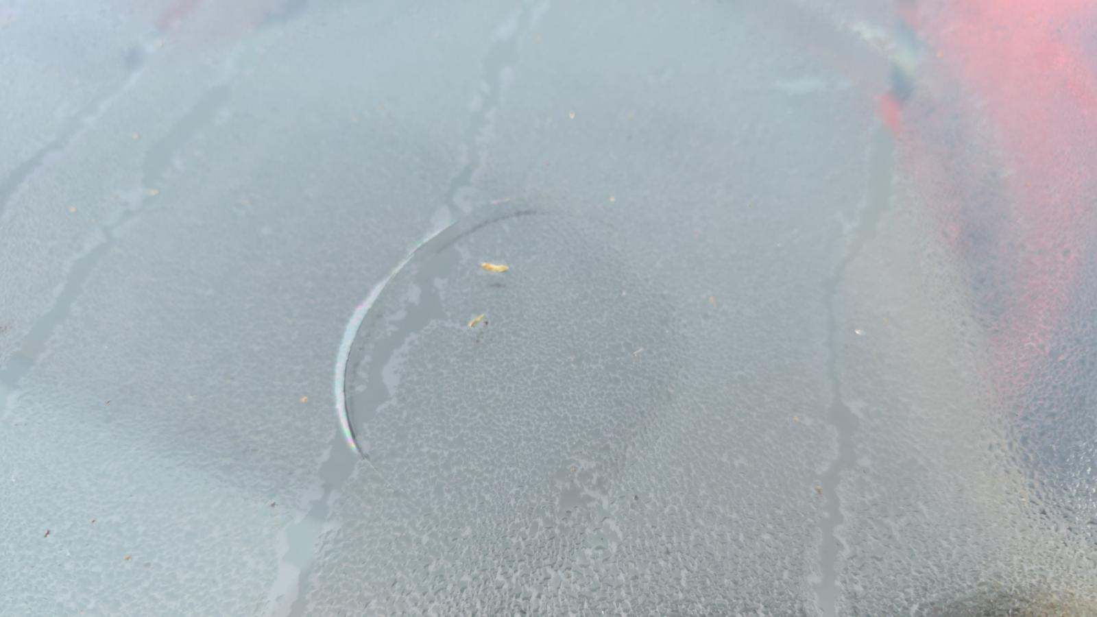 2019 BMW X6 sDrive35i RWD