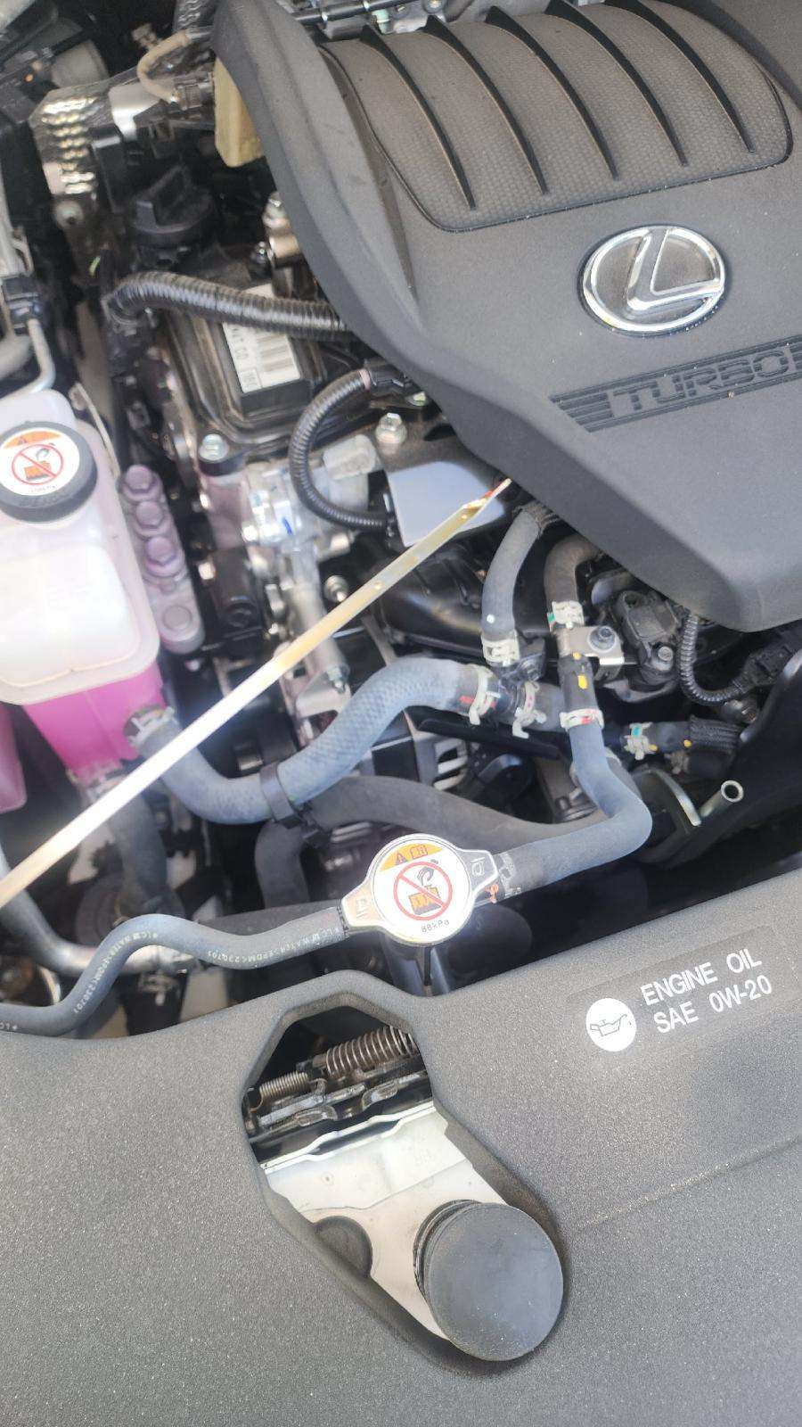 2024 Lexus RX RX 350 Premium Plus FWD