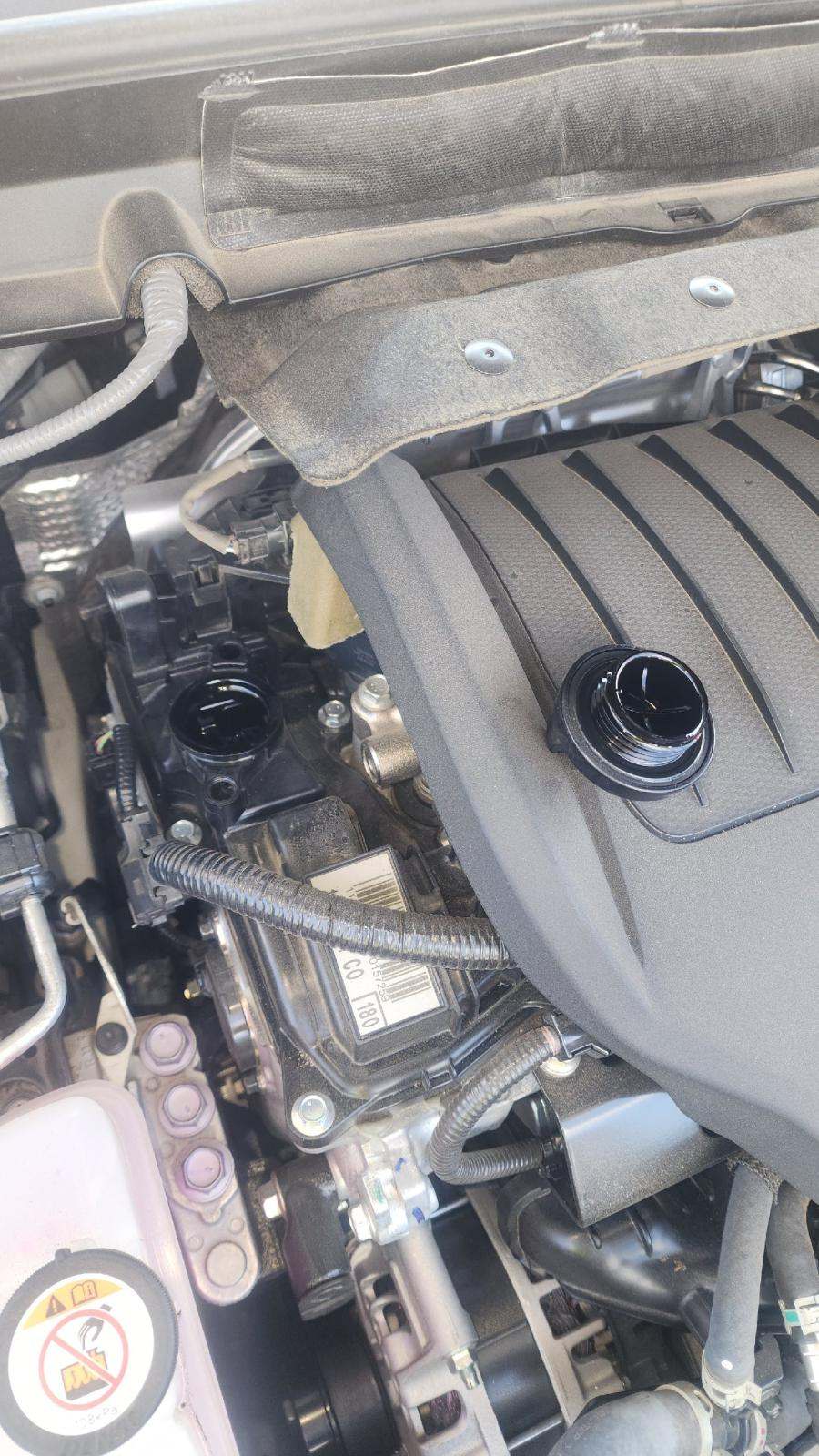 2024 Lexus RX RX 350 Premium Plus FWD