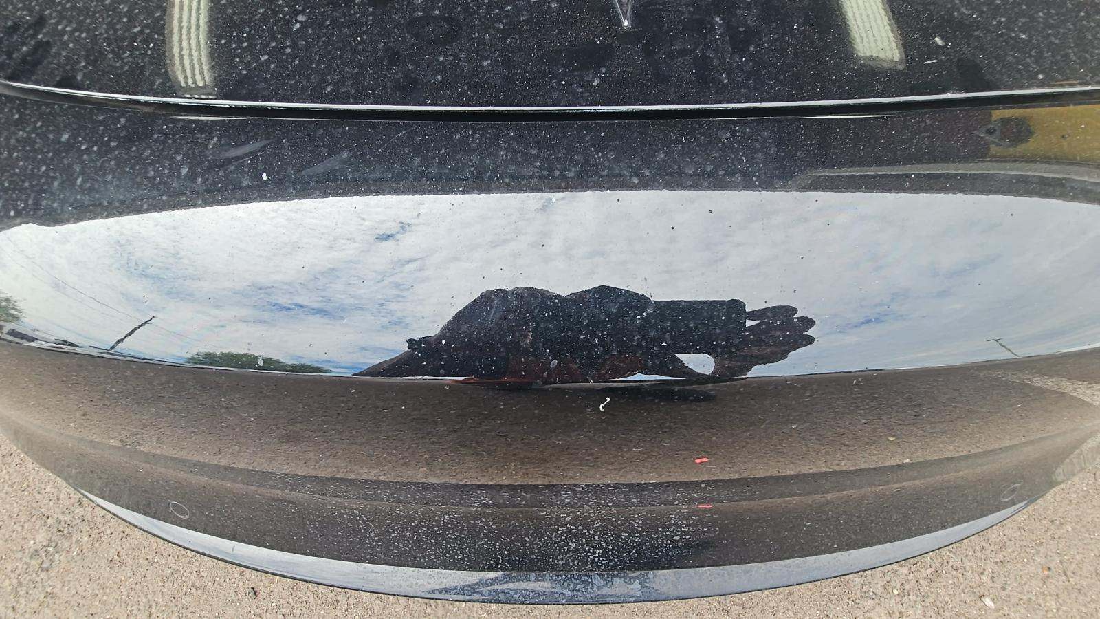 2020 Tesla Model 3 Performance AWD