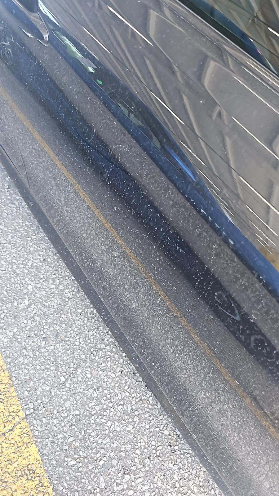 2015 BMW M4 Base RWD