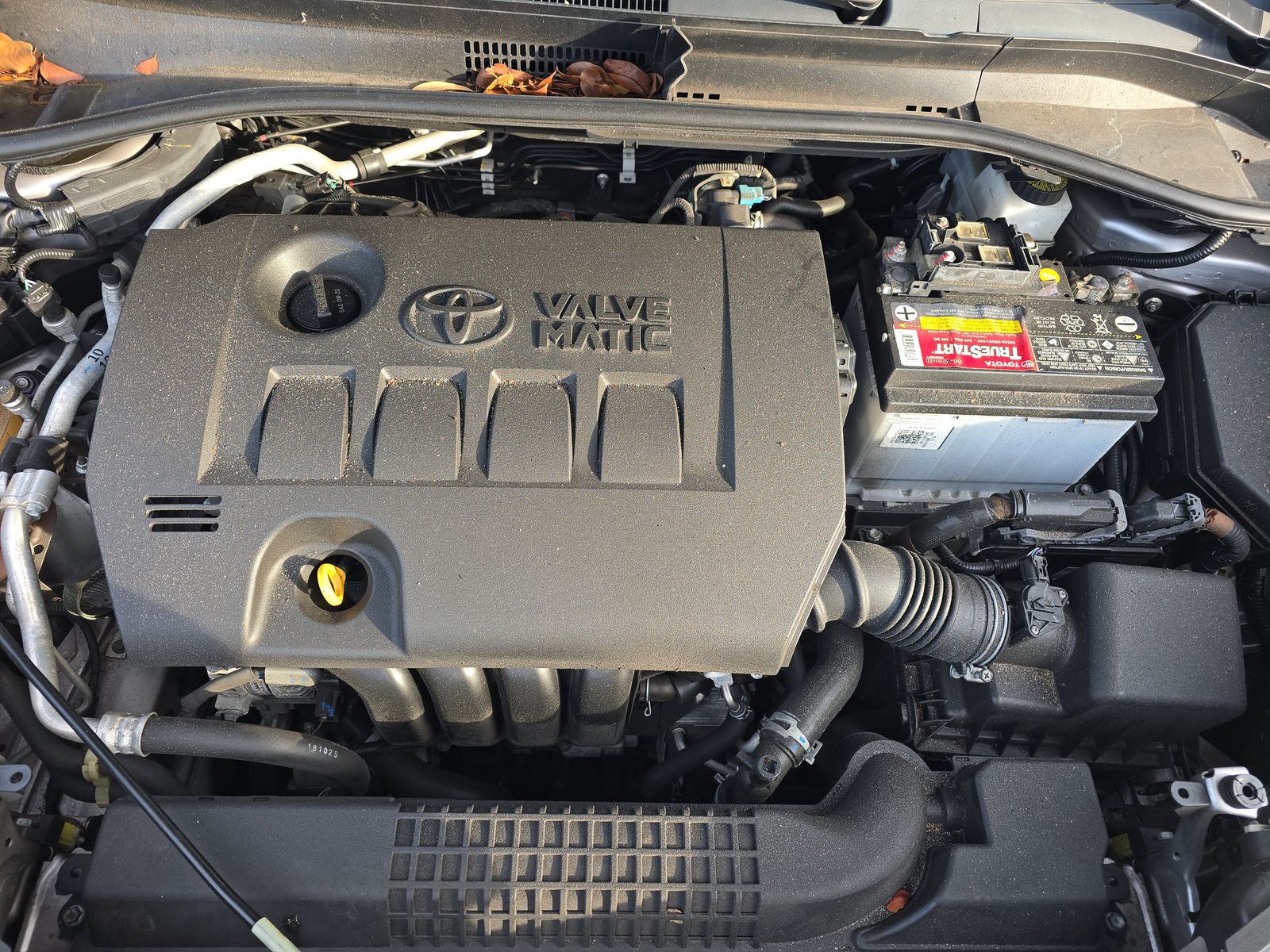 2019 Toyota C-HR LE FWD