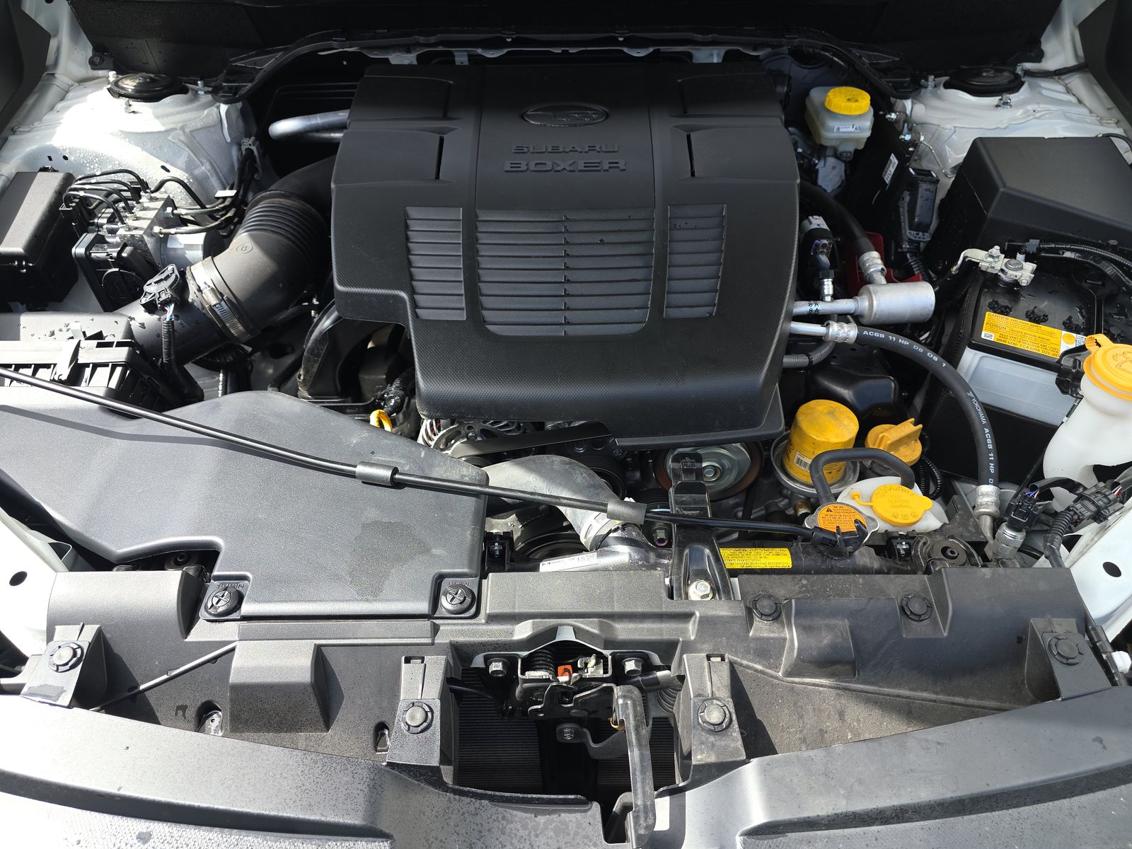 2024 Subaru Forester Wilderness AWD