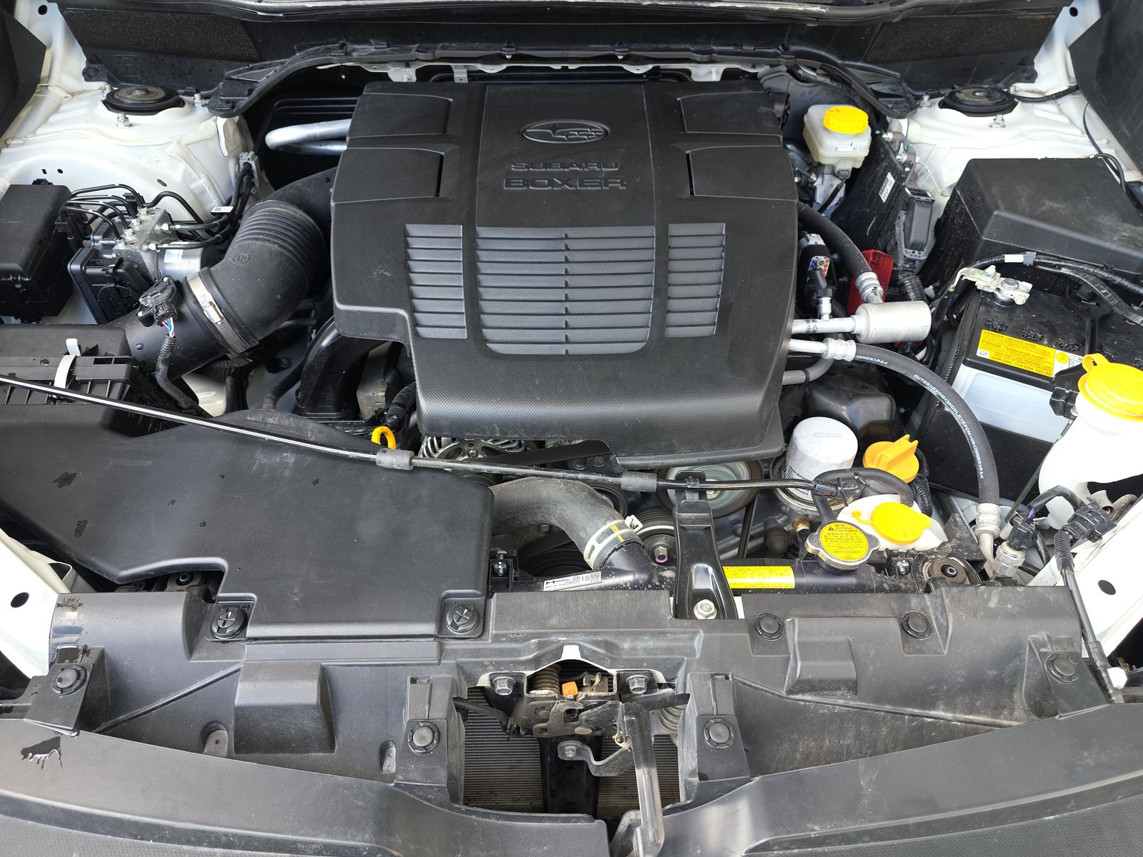 2024 Subaru Forester Wilderness AWD