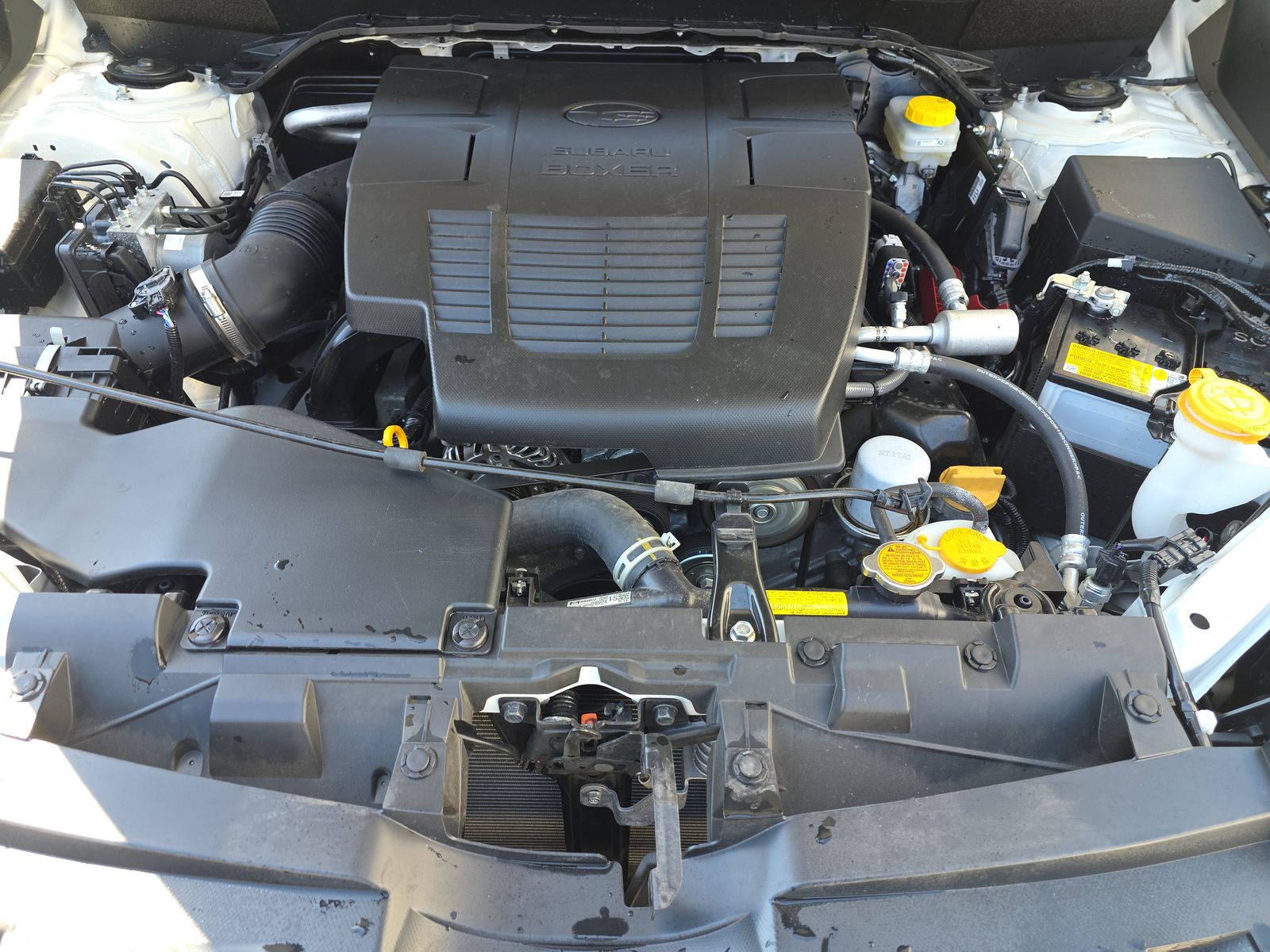 2024 Subaru Forester Wilderness AWD