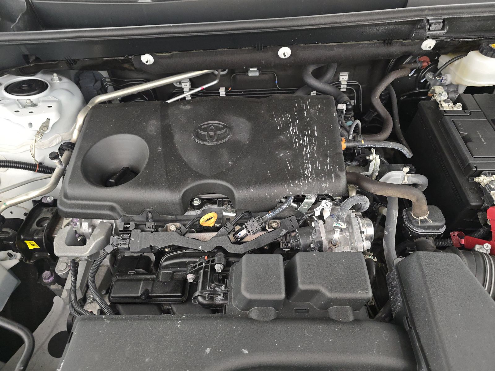 2023 Toyota RAV4 LE FWD