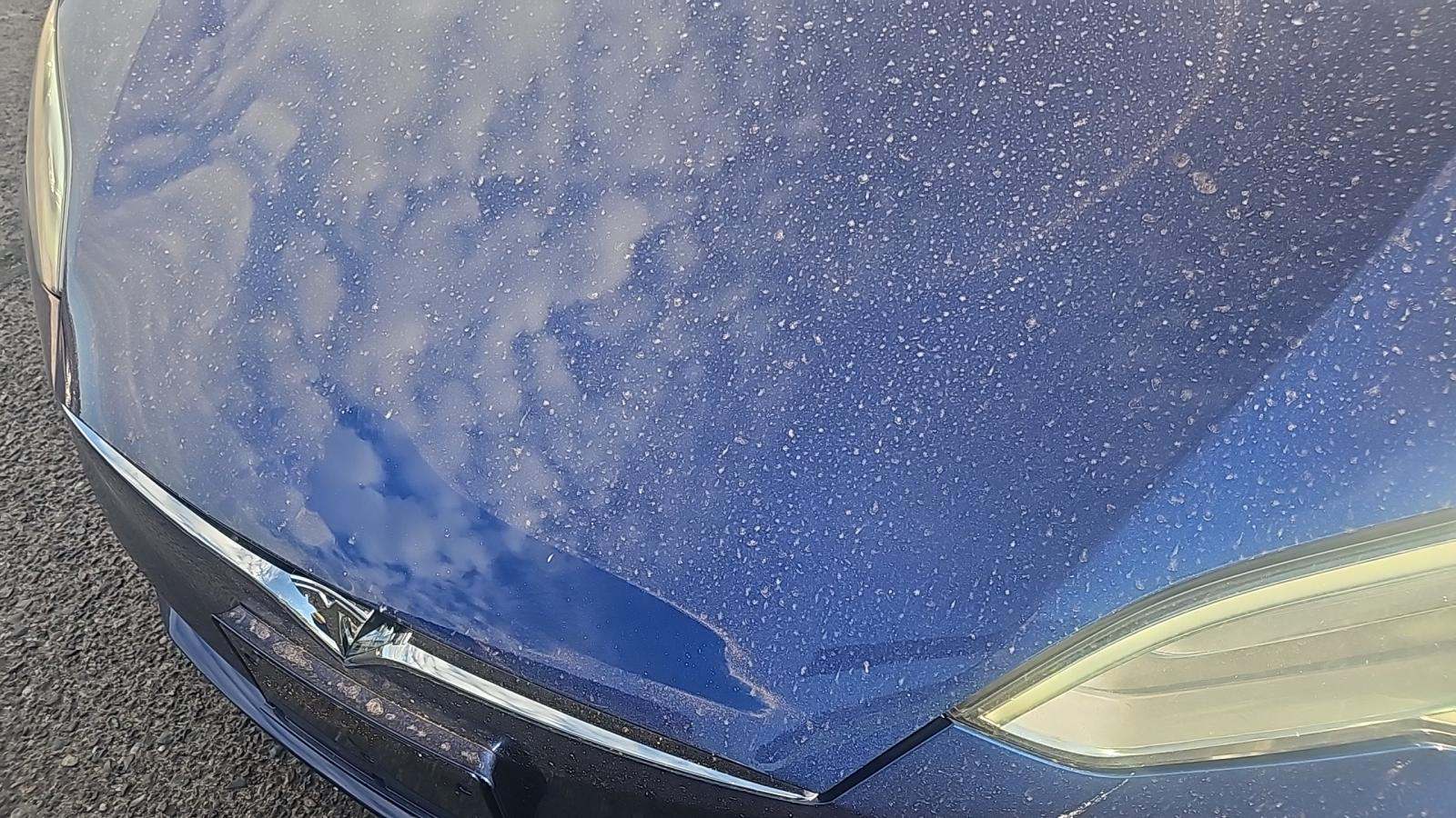 2020 Tesla Model S Performance AWD