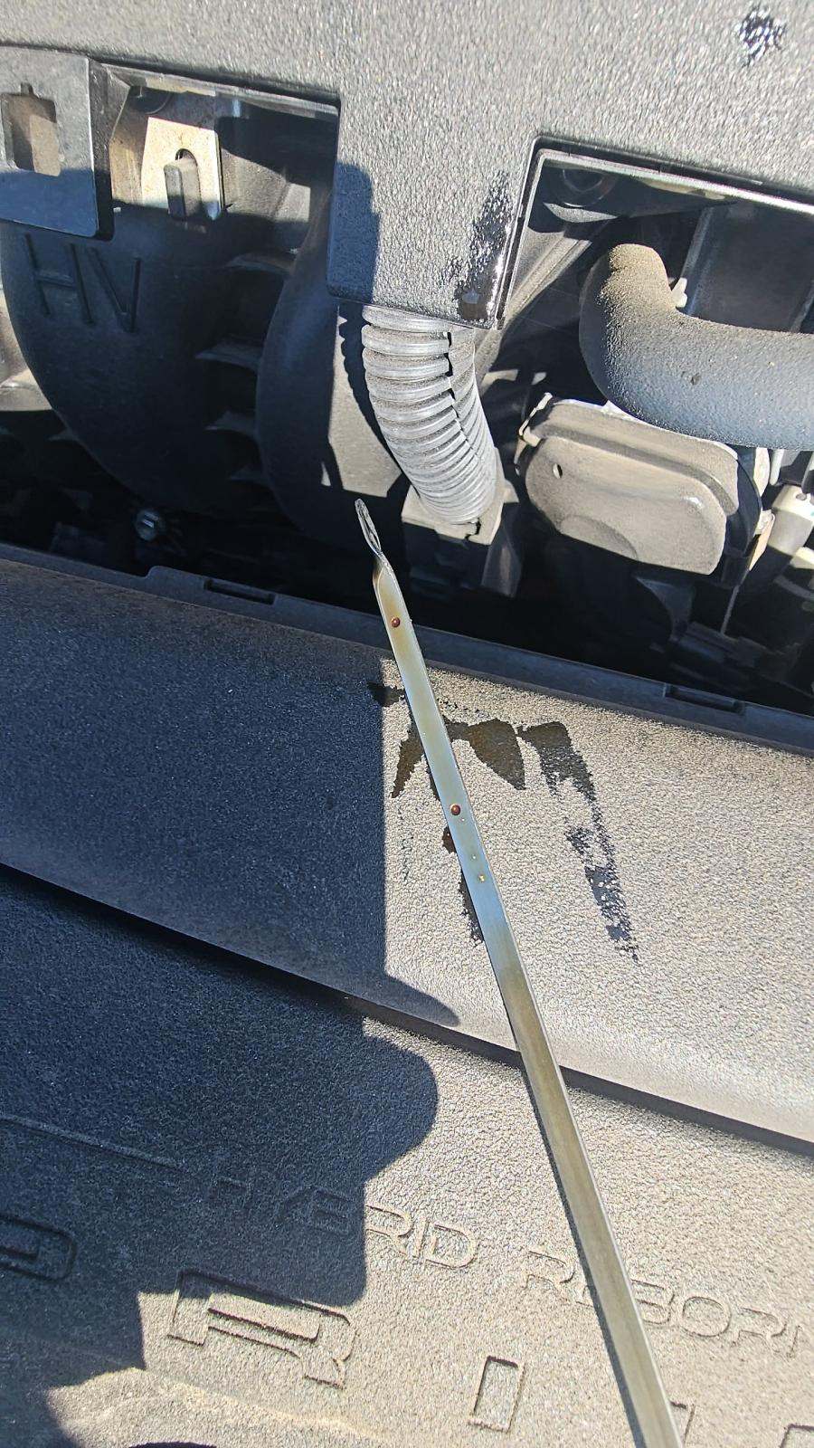 2024 Toyota Prius LE FWD