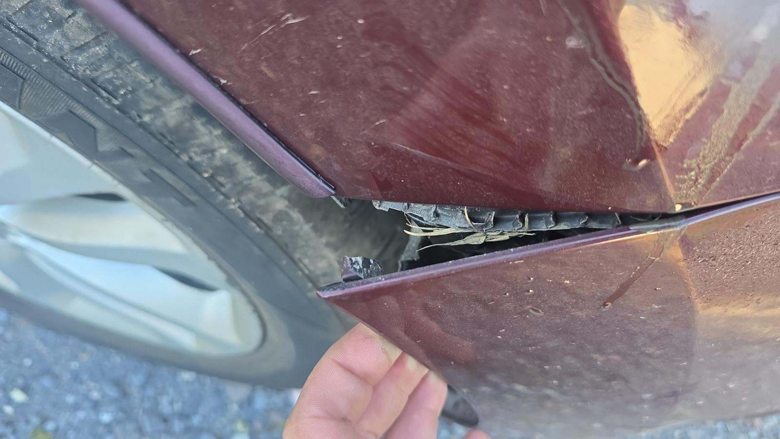 2016 Kia Sedona SXL FWD